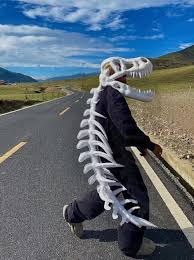 A realistic dinosaur skeleton outfit